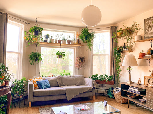 The Inportance of Home Security Camera System