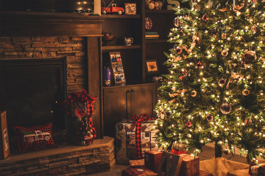 Secure & Celebrate: Maximize Your Holiday Home Safety and Enjoyment with Dzees Security Cameras