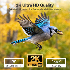 2K HD Window Bird Camera – Smart Bird Feeder with AI Species Recognition & Live Streaming Dzees - dzees - cam