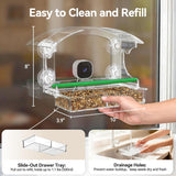 2K Smart Window Bird Feeder Camera – AI Bird Identifier, Live Streaming & Auto Capture Dzees