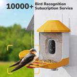 Smart Bird Feeder with Camera & AI Bird Identification – 2K HD Video, Solar Powered, 32GB Card, Live View & Alerts – Perfect Gift for Bird Lovers - Dzees B6