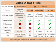 Cloud Storage Pro Plan – Long-Term Video Backup & Protection