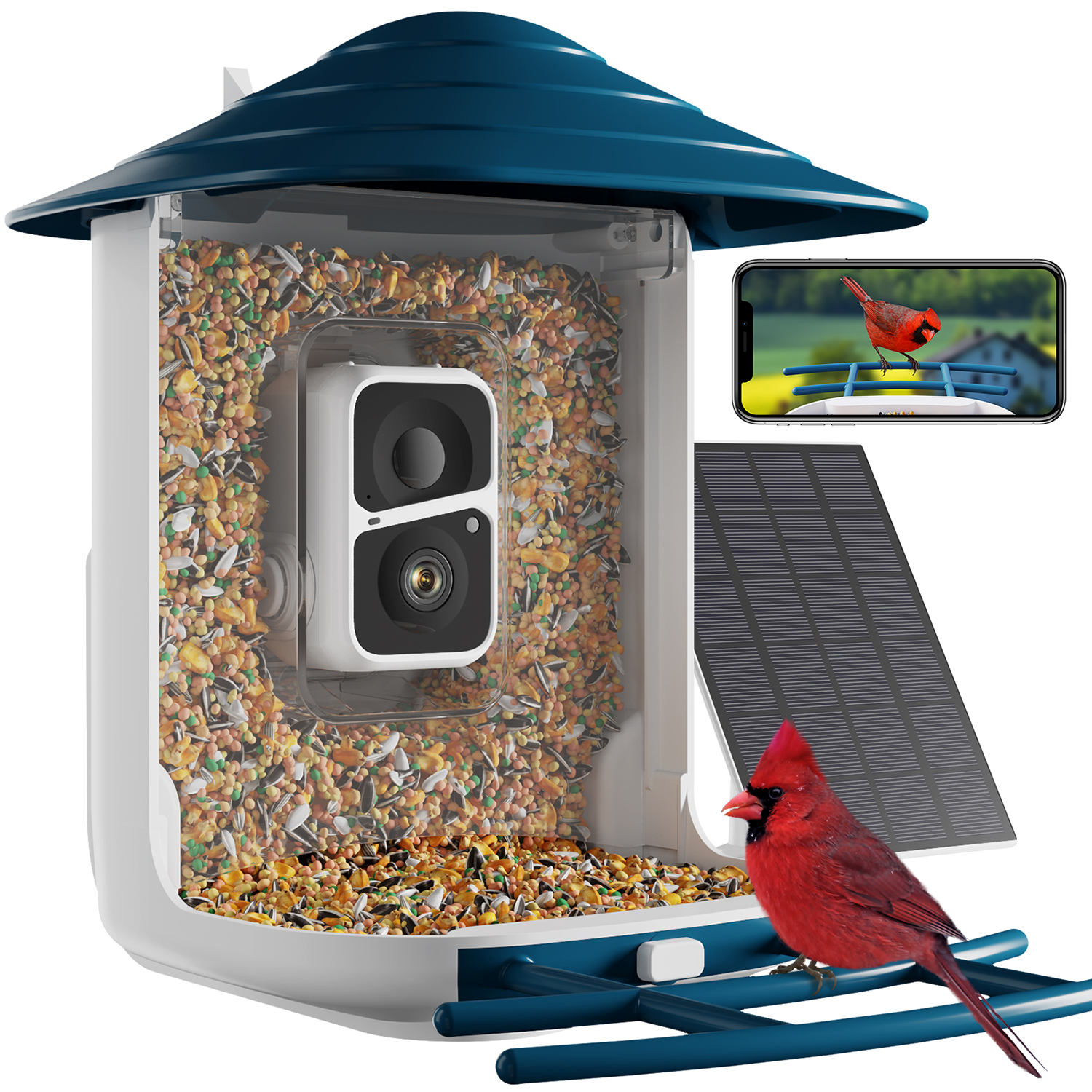 SOLIOM® BF08 Solar Smart Bird Feeder AI Camera, Wireless Wifi HD Video –  Soliom Solar Home Security
