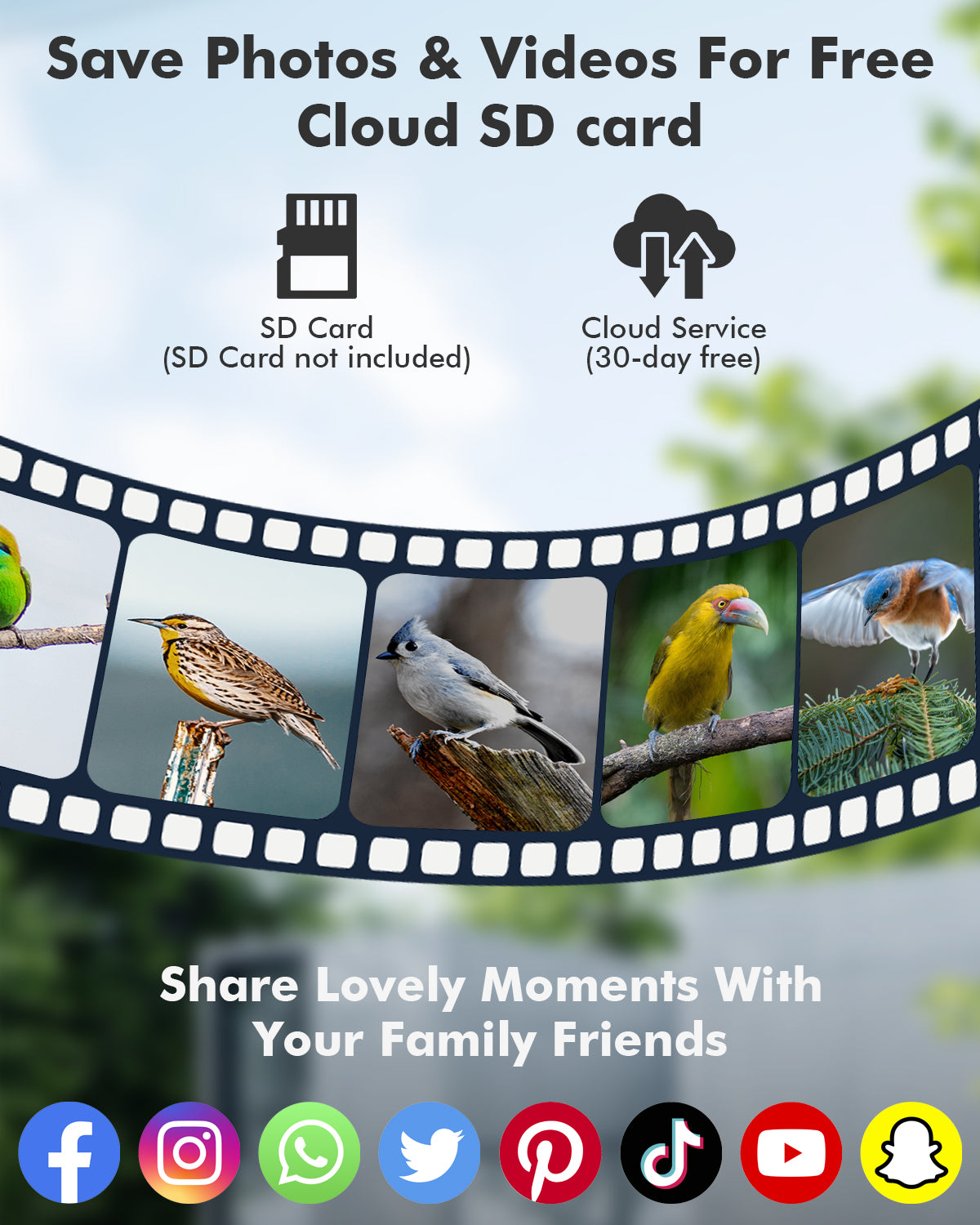 V5-bird-feeder-save-photo-videos-flexible-storage