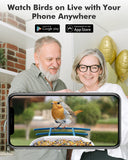 V5-bird-feeder-watch-your-birds-on-lives-with-your-phone-anyehre