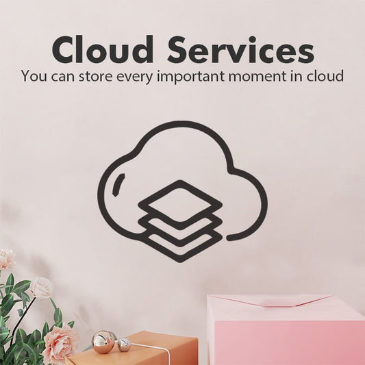 Beyond the Lens: Why Cloud Storage is the Unsung Hero of Your Smart Home Security - dzees-cam