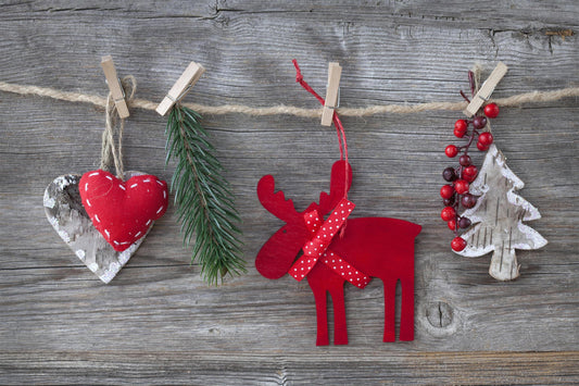 Celebrate Christmas with Peace of Mind – Protect Your Home with Dzees D3K - dzees-cam