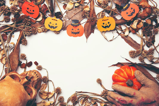 Fall into Savings with Dzees Home Security Camera – Your Ultimate Protection Awaits! - dzees-cam