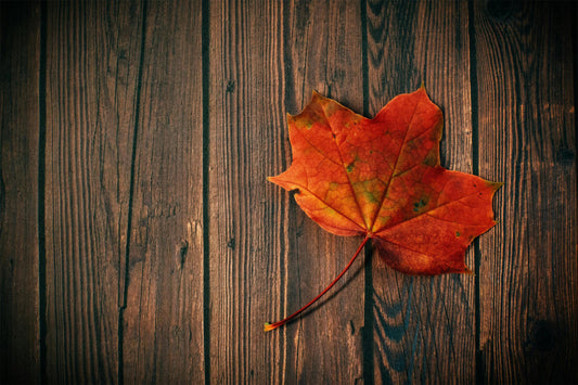 Fall Into Savings with the Dzees Home Security Camera Sale! - dzees-cam