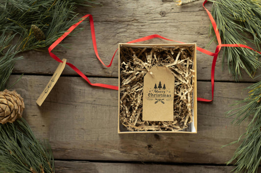 Keep Your Home Safe and Merry This Christmas with Dzees D3K Security Camera - dzees-cam