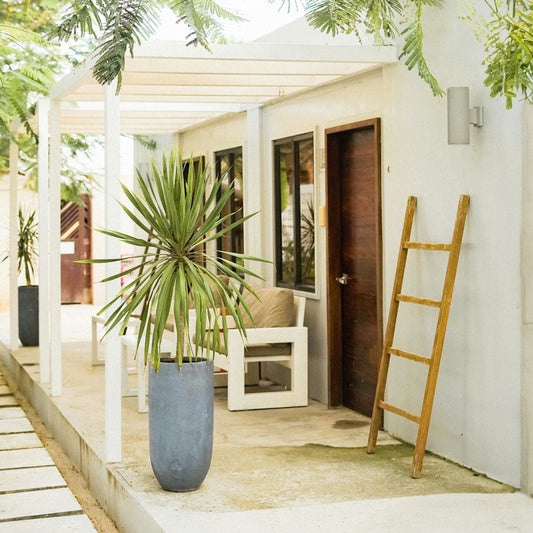 The Guardian That Never Sleeps: How Dzees Solar Camera Redefines 24/7 Home Protection - dzees-cam