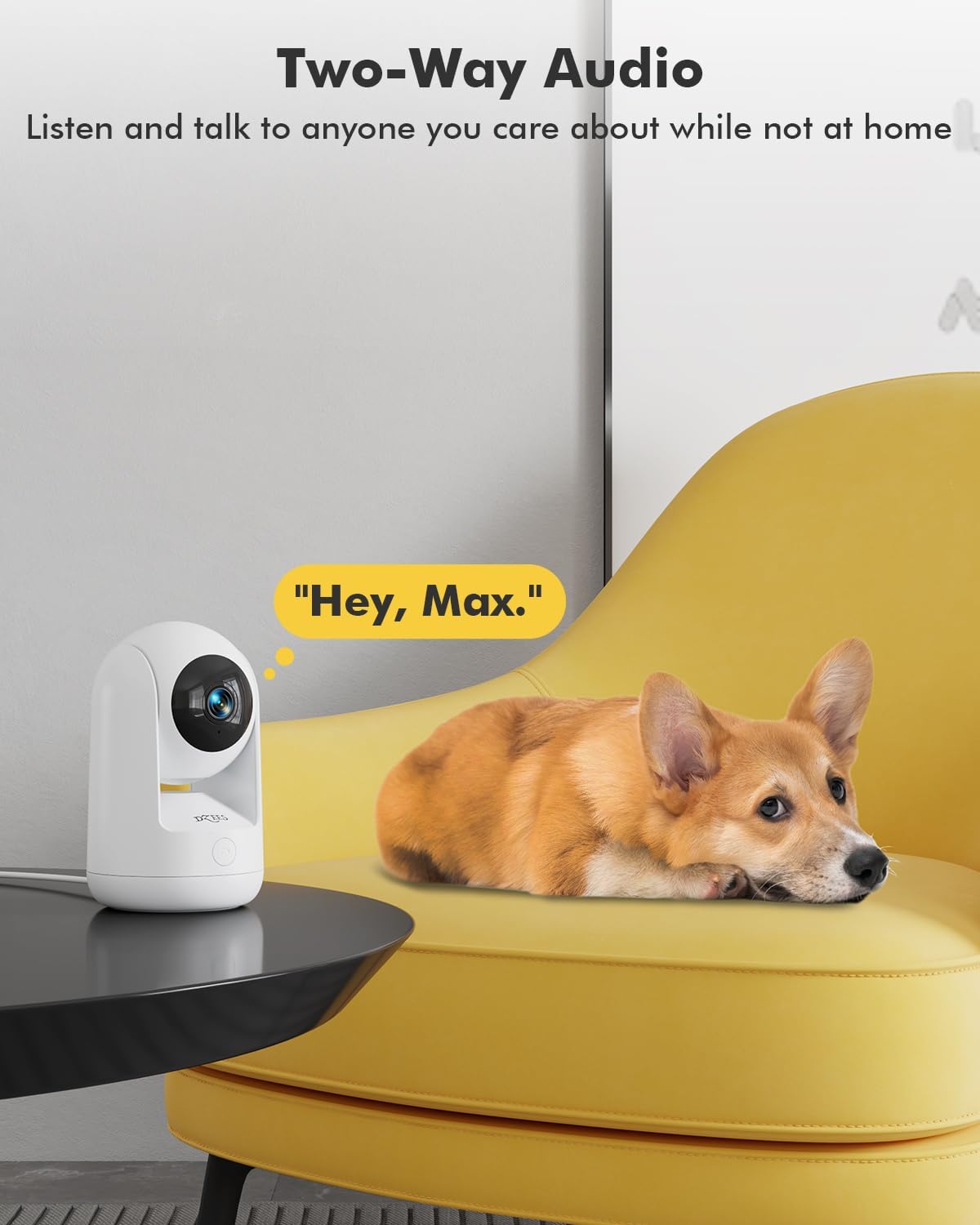 2K Indoor Pet Camera with 360° View, 24/7 Recording, Audio & Motion Tracking - Perfect for Pet Owners Dzees CA49 - dzees - cam