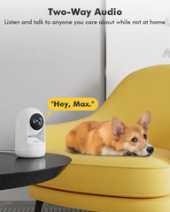 Photo inspiration: Fresh Look at 360 2K Indoor Security Camera For Pets Home