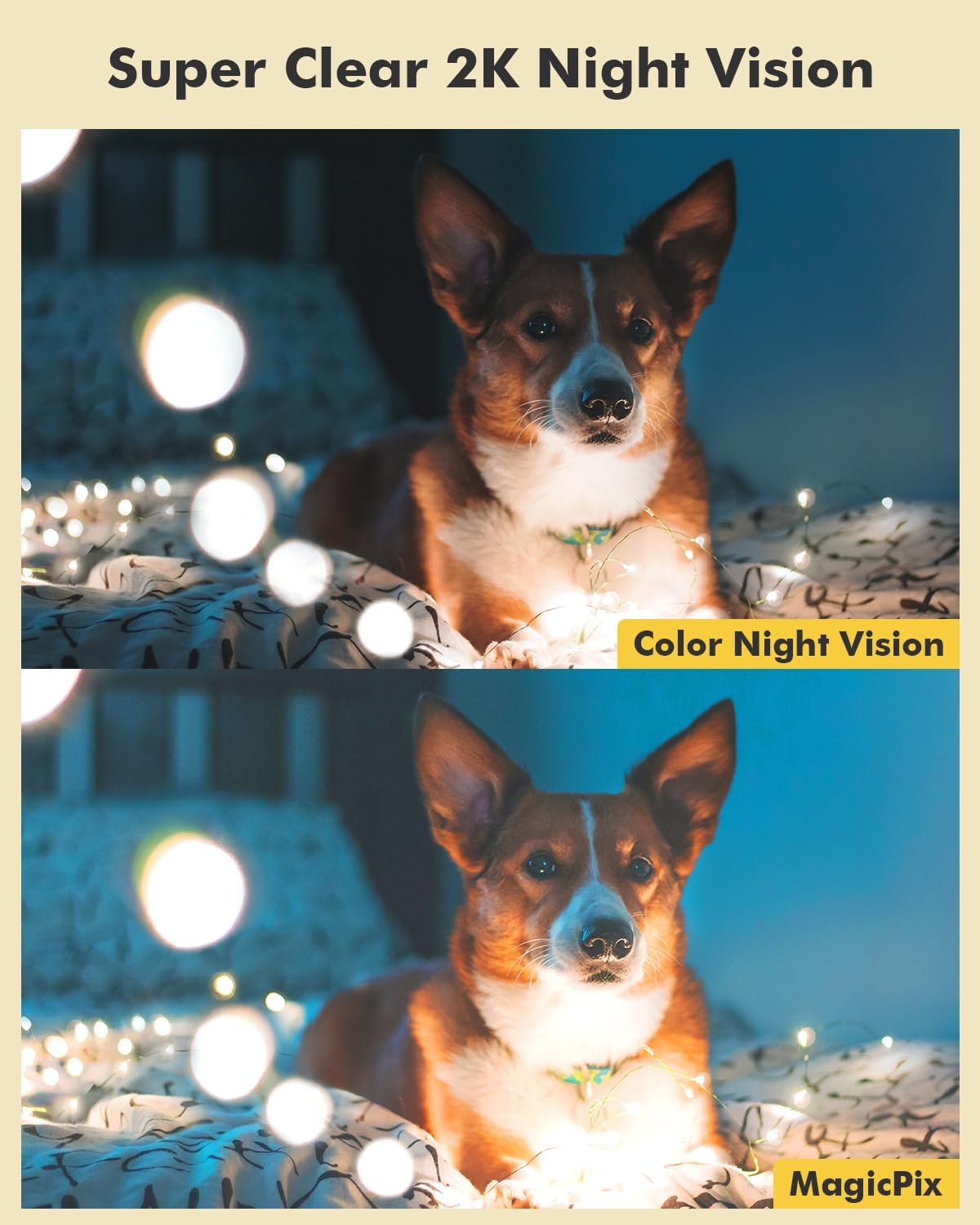 2K Indoor Pet Camera with 360° View, 24/7 Recording, Audio & Motion Tracking - Perfect for Pet Owners Dzees CA49 - dzees - cam