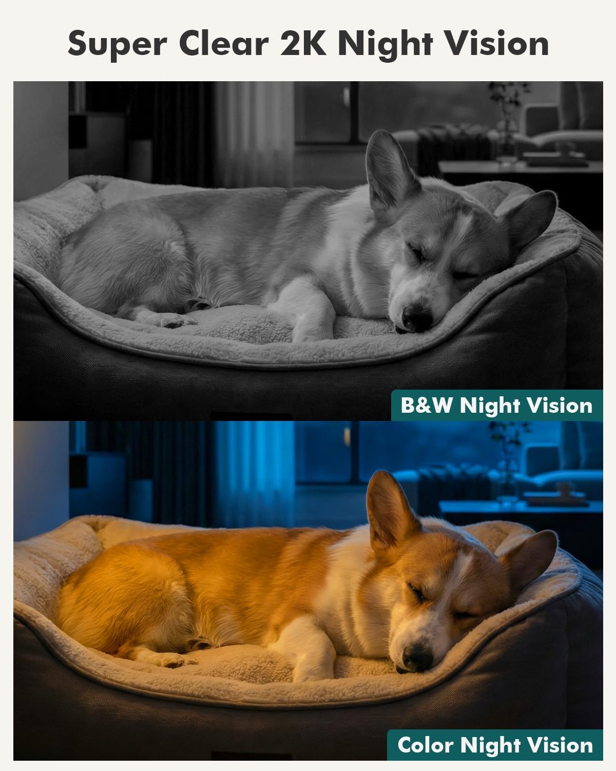 360° 2K Smart Indoor Security Camera – AI Motion Tracking, Night Vision, 2.4G/5G WiFi - Dzees CA49B - dzees - cam