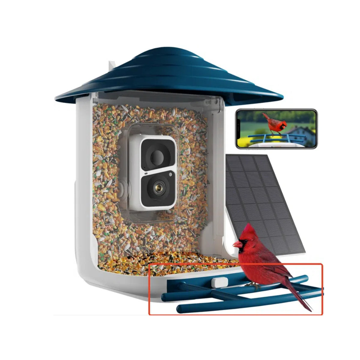 Smart Bird Feeder Camera Bracket (Only the Bracket, Not Include the Bird Feeder)