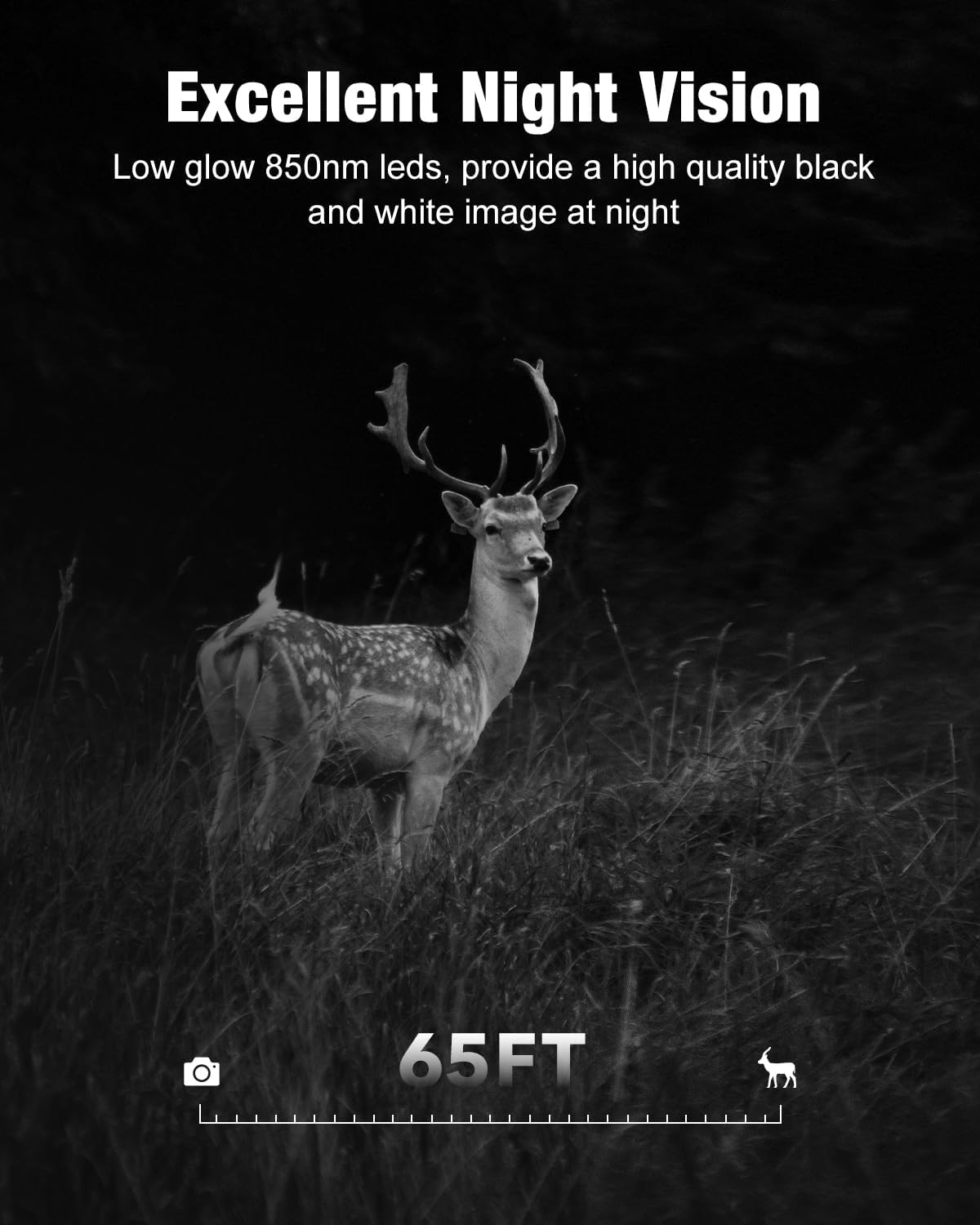 4G LTE Cellular Trail Camera Excellent Night Vision
