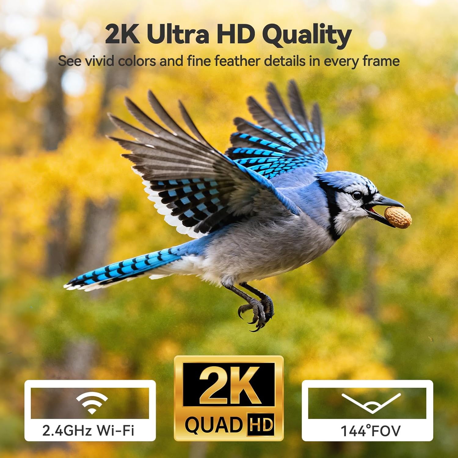 2K Smart Window Bird Feeder Camera – AI Bird Identifier, Live Streaming & Auto Capture Dzees