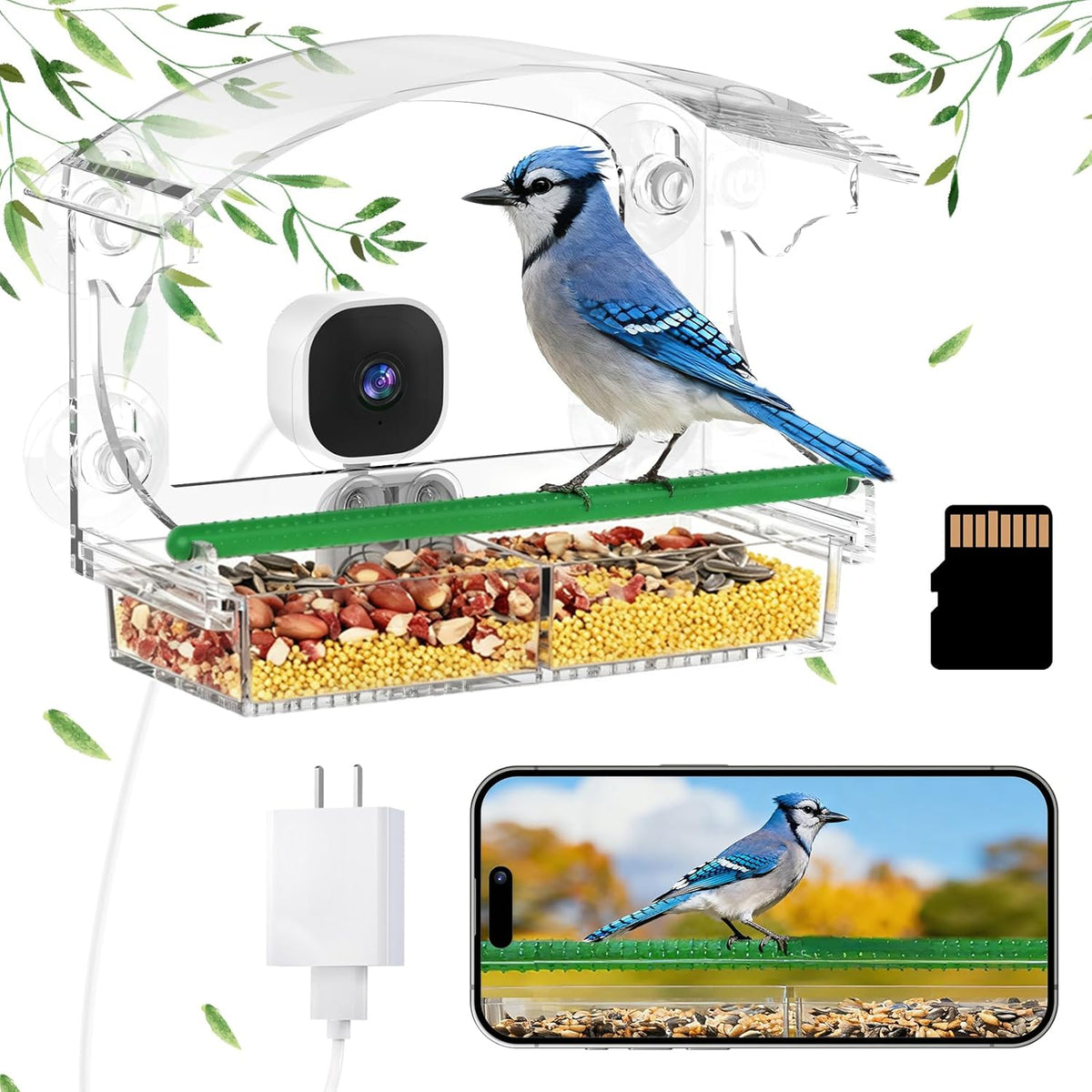 2K Smart Window Bird Feeder Camera – AI Bird Identifier, Live Streaming & Auto Capture Dzees