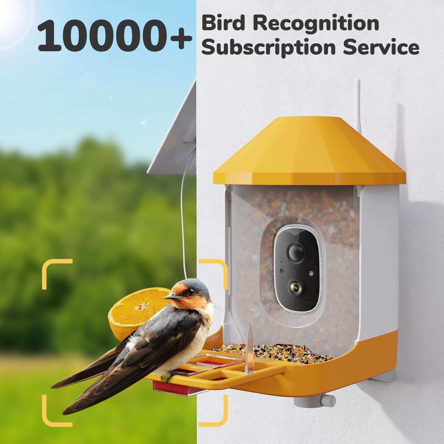 Smart Bird Feeder Lite Motion Detection Bird Home Feeder Security Camera with Humming Set Dzees B6