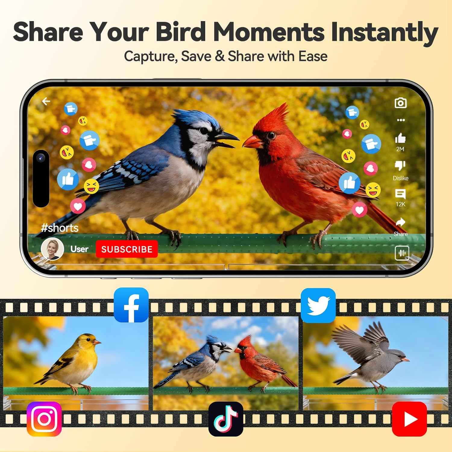 2K Smart Window Bird Feeder Camera – AI Bird Identifier, Live Streaming & Auto Capture Dzees