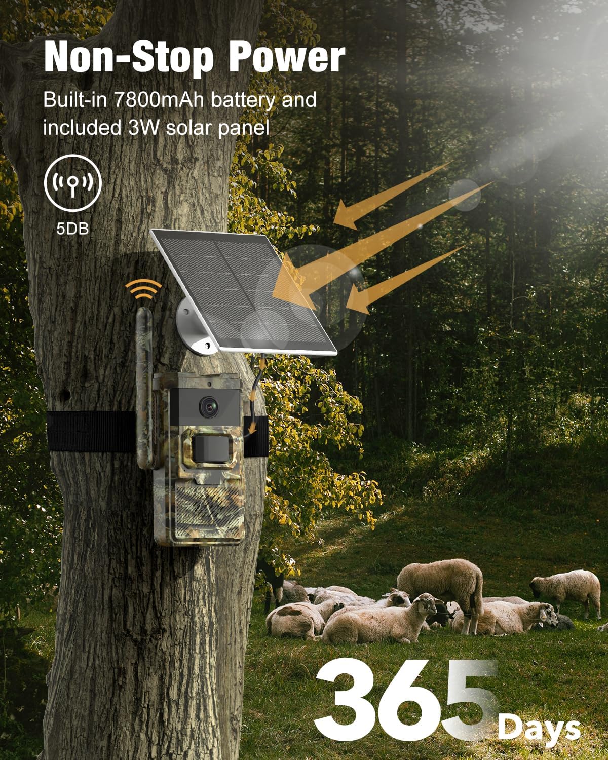 4G LTE Cellular Trail Camera Non-Stop Power