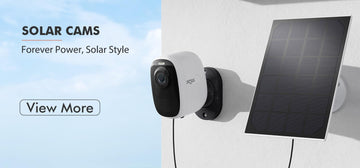 Dzees Camera – dzees-cam