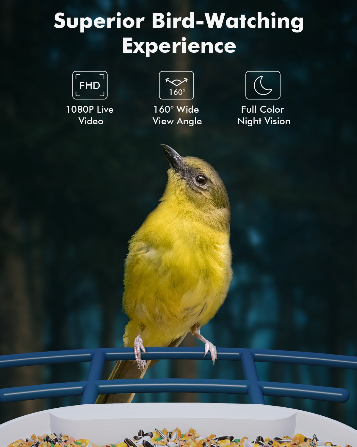 Smart Bird Feeder Camera, Hummingbird Watching Camera with Motion Detection  & Auto Capture Bird, 100° Wide Angle & Waterproof 1080P HD Night Vision