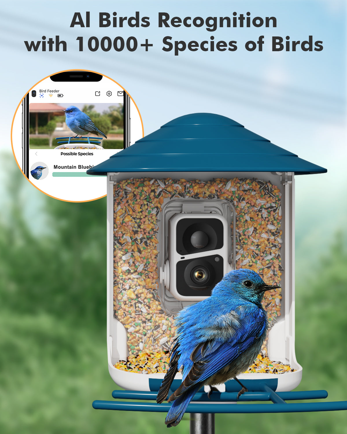 Smart Bird Feeder Lite Motion Detection Bird Home Feeder Security Came –  dzees-cam