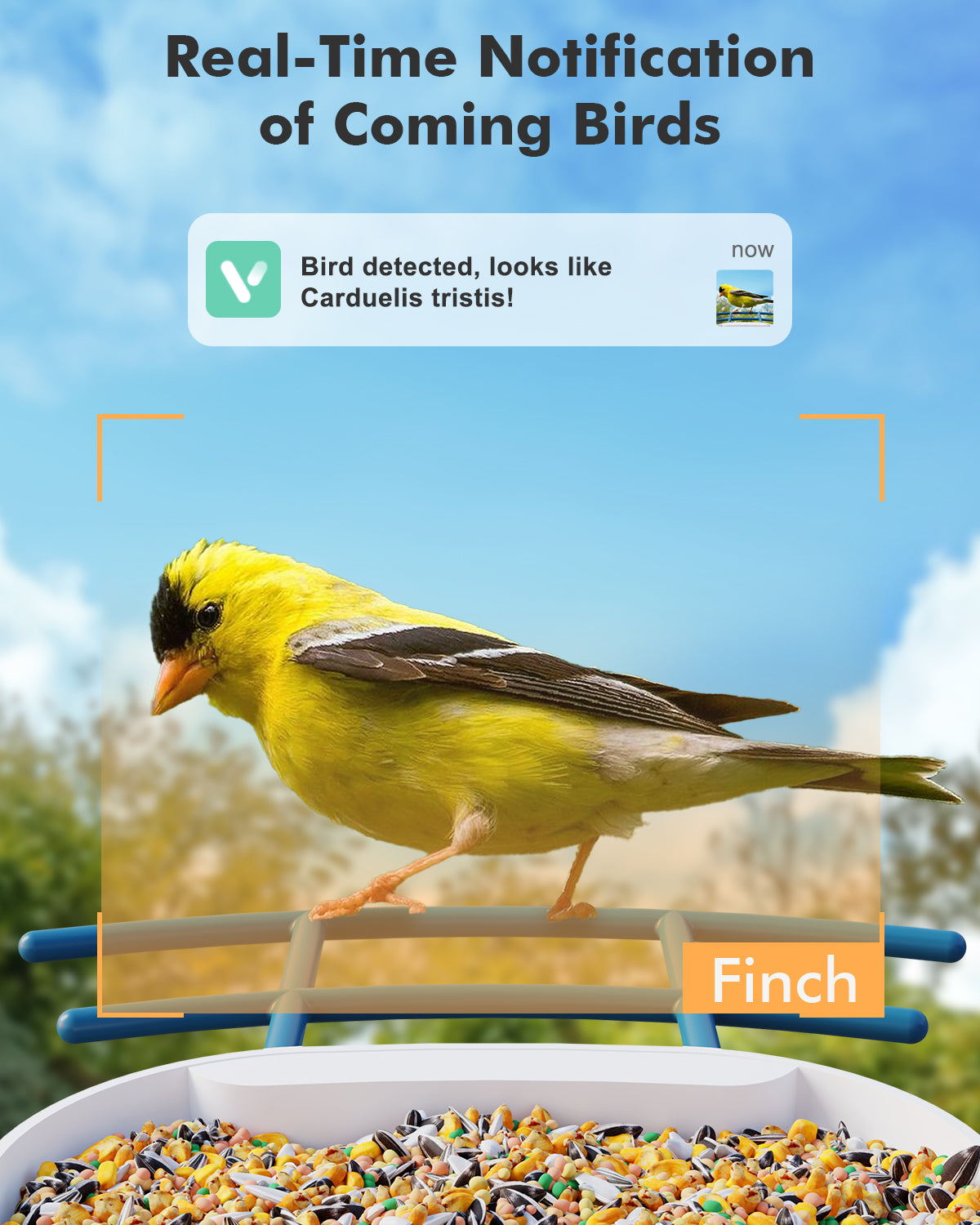 Smart Bird Feeder Lite Motion Detection Bird Home Feeder Security Came –  dzees-cam