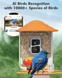 Smart Bird Feeder Lite Motion Detection Bird Home Feeder Security Camera with Humming Set Dzees V5O