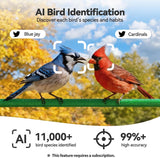 2K HD Window Bird Camera – Smart Bird Feeder with AI Species Recognition & Live Streaming Dzees