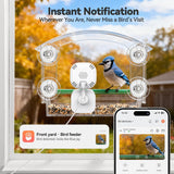 2K HD Window Bird Camera – Smart Bird Feeder with AI Species Recognition & Live Streaming Dzees