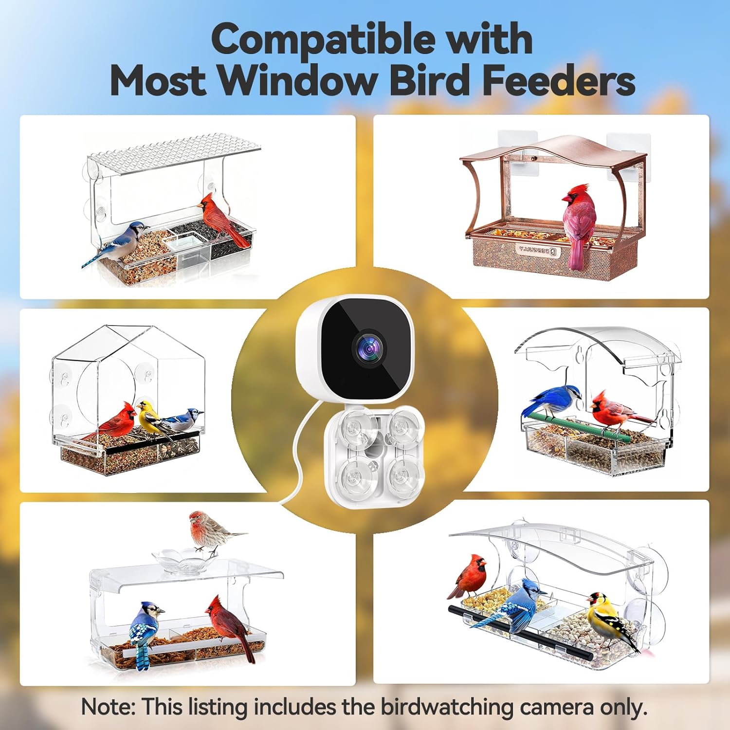 2K HD Window Bird Camera – Smart Bird Feeder with AI Species Recognition & Live Streaming Dzees