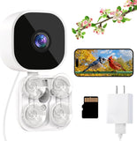 2K HD Window Bird Camera – Smart Bird Feeder with AI Species Recognition & Live Streaming Dzees