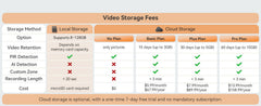 Cloud Storage Basic Plan – Secure Backup for Recent Footage - dzees - cam