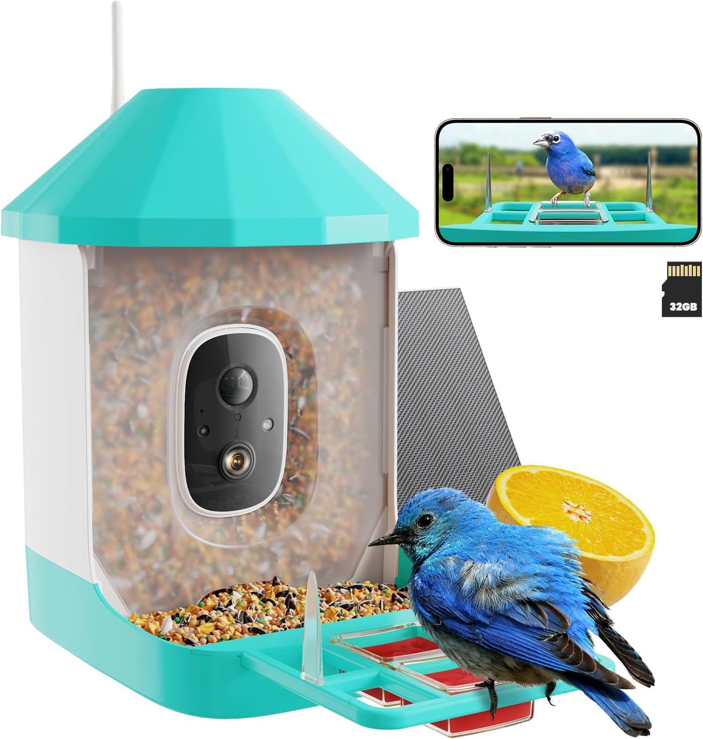 Smart Bird Feeder with Camera & AI Bird Identification – 2K HD Video, Solar Powered, 32GB Card, Live View & Alerts – Perfect Gift for Bird Lovers - Dzees B6 - dzees - cam