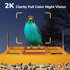 Smart Bird Feeder with Camera & AI Bird Identification – 2K HD Video, Solar Powered, 32GB Card, Live View & Alerts – Perfect Gift for Bird Lovers - Dzees B6 - dzees - cam