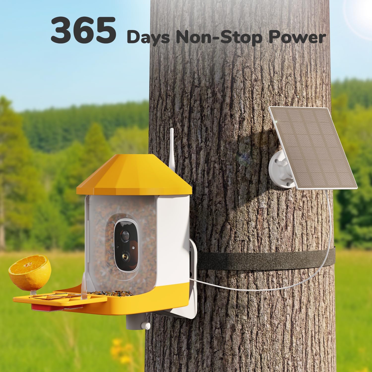 Smart Bird Feeder with Camera & AI Bird Identification – 2K HD Video, Solar Powered, 32GB Card, Live View & Alerts – Perfect Gift for Bird Lovers - Dzees B6 - dzees - cam