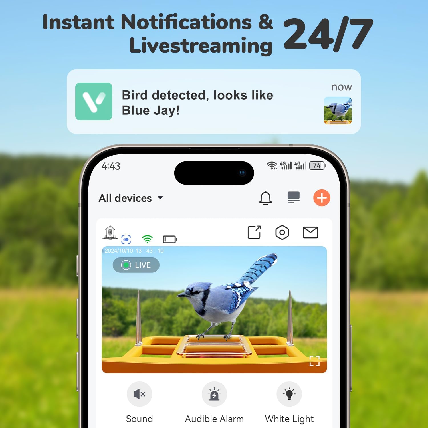 Smart Bird Feeder with Camera & AI Bird Identification – 2K HD Video, Solar Powered, 32GB Card, Live View & Alerts – Perfect Gift for Bird Lovers - Dzees B6 - dzees - cam